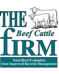 THE Beef Cattle fIRM logo