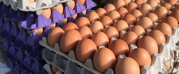Eggs - $67.0 million