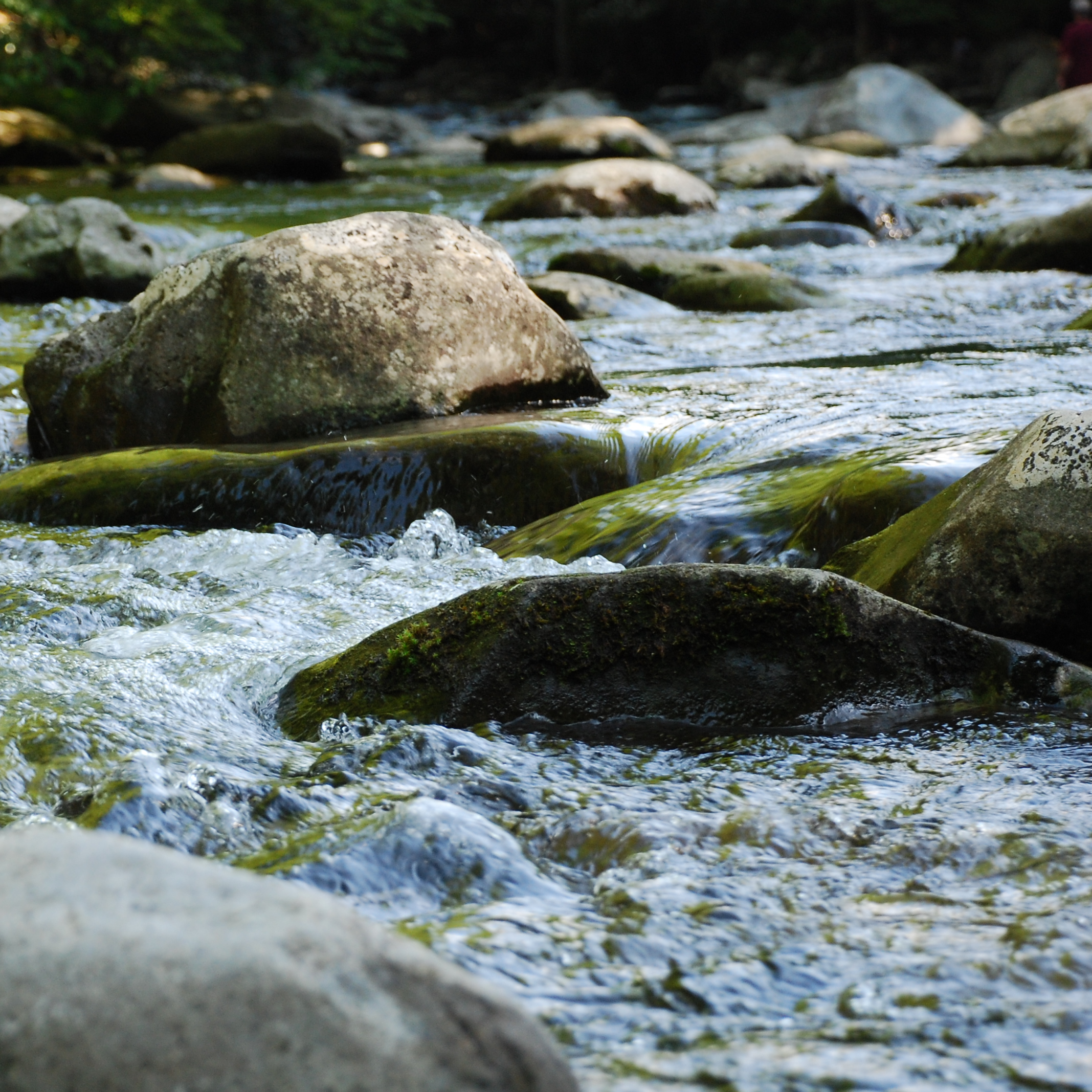 River in Great Smoky Mountains 