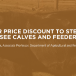 Title: Heifer Price Discount to Steers in Tennessee Calves and Feeder Cattle