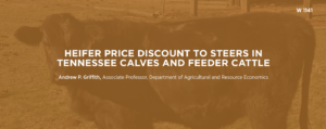 Title: Heifer Price Discount to Steers in Tennessee Calves and Feeder Cattle