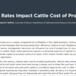 Title: Interest Rates Impact Cattle Cost of Production