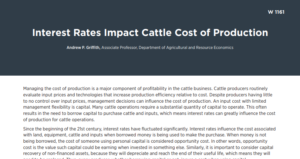 Title: Interest Rates Impact Cattle Cost of Production