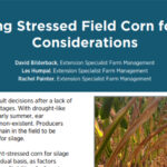 Chopping Stressed Field Corn for Silage Considerations