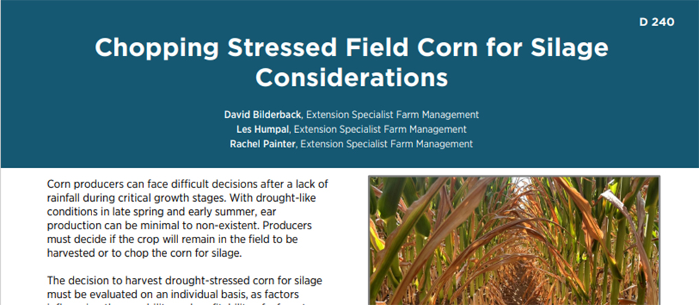 Chopping Stressed Field Corn for Silage Considerations